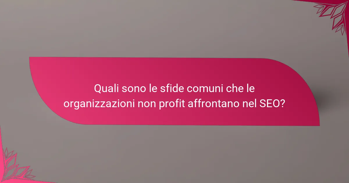 Quali sono le sfide comuni che le organizzazioni non profit affrontano nel SEO?